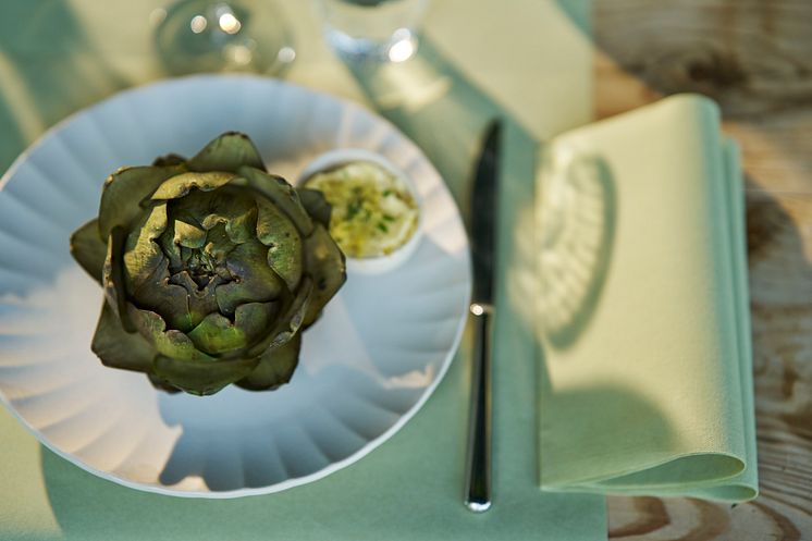 2025_DUNI_Pistachio Green_Napkin_Tablecover_0010_1.jpg