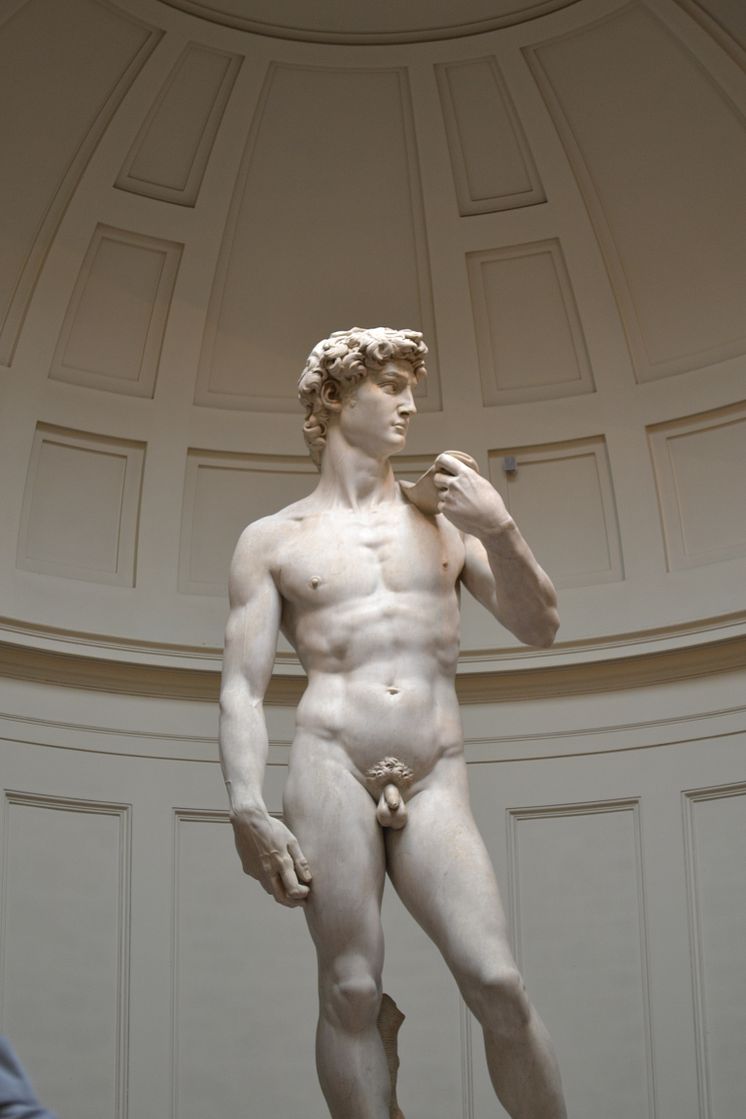 2a Michelangelo's David - Nina Hartwood_Shutterstock_2300726795.jpg