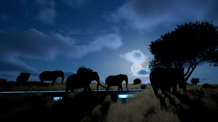 savanna_night_mynewsdesk