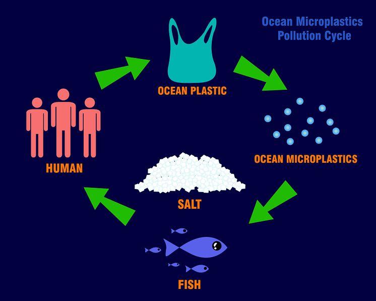 Ocean Microplastics_iStock-1060396196.jpg