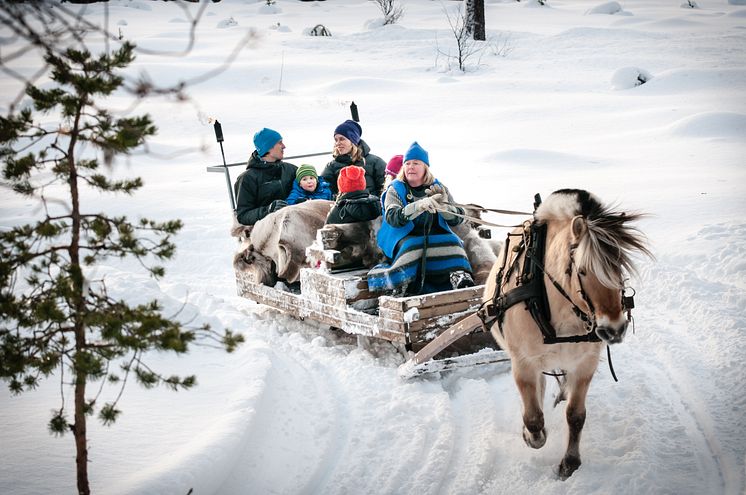 Kanefart i Trysil-skogen