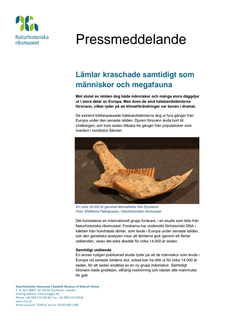 Lämlar kraschade samtidigt som människor och megafauna