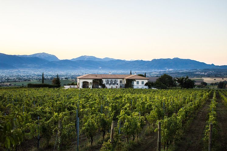 Lungarotti Vinery Montefalco