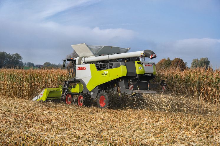 CORIO STUBBLE CRACKER