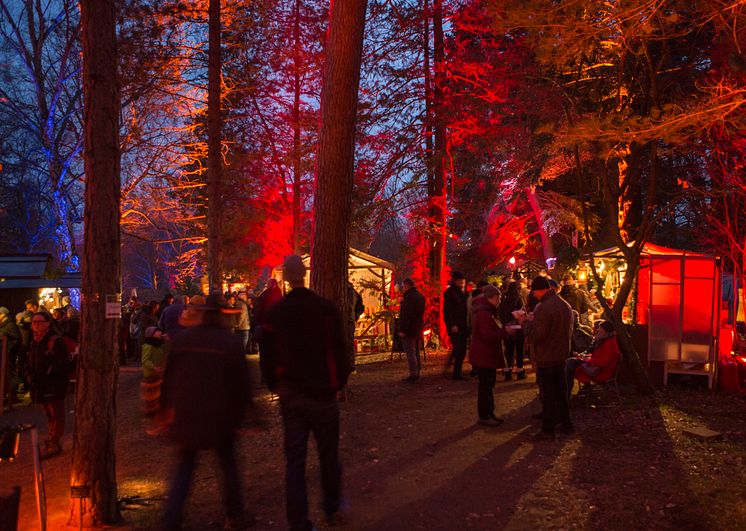 Waldweihnacht_Eberswalde_TMB_Fotoarchiv_Steffen_Lehmann