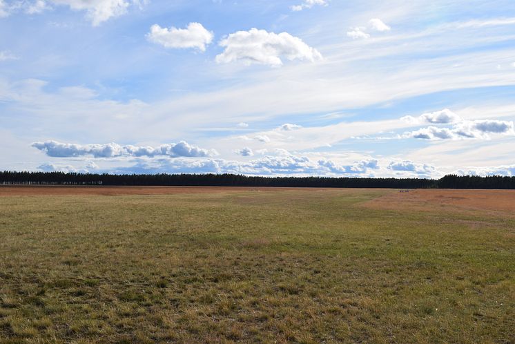 Brattforshedens Krigsflygfält (Foto – Kim Bergman)