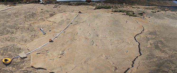 The footprints from Trachilos