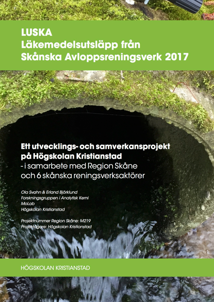 LUSKA Rapport 2017