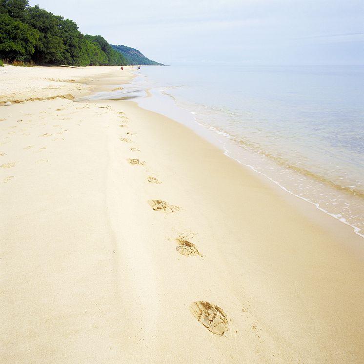 Strand vid Stenshuvud