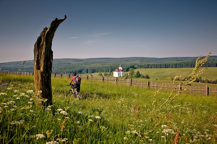 Radregion_Erzgebirge_bei_Kalek RG_2285 Tourismusverband_Erzgebirge_e.V. René Gaens