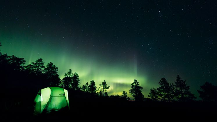 Norrsken i Höga Kusten