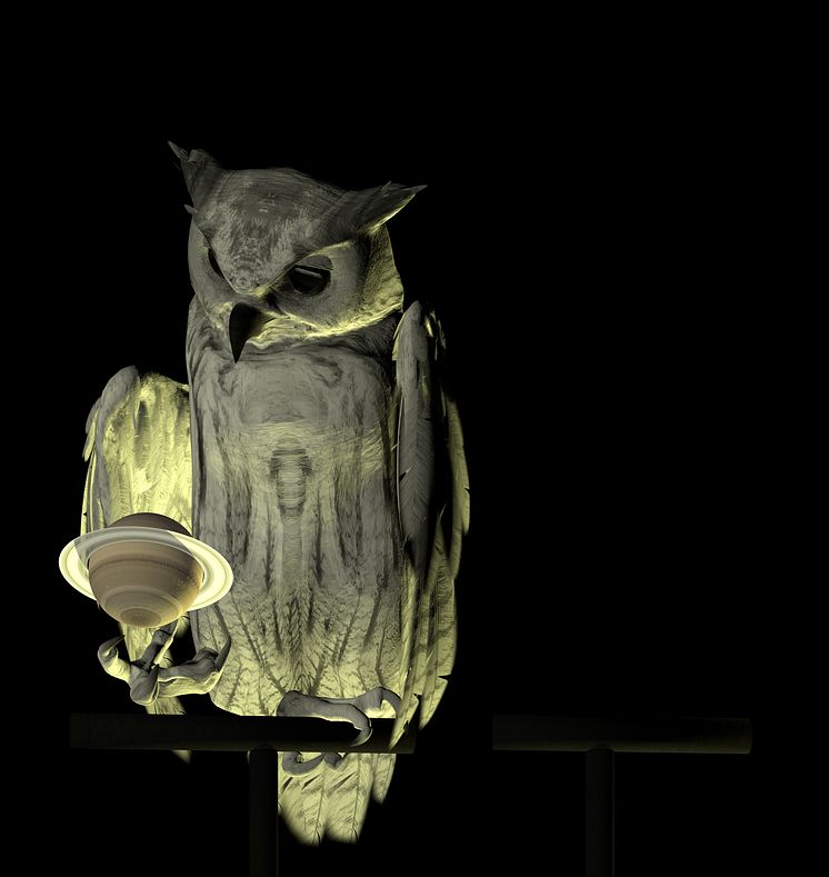 Oracles, Owls... Some Animals Never Sleep av Ann Lislegaard (2012–2014)