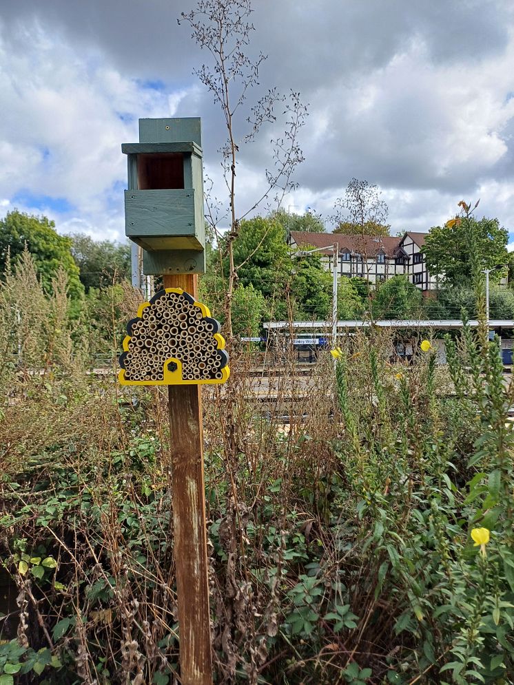 Hadley Wood 4.jpg