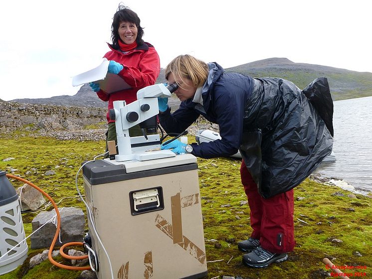 Anita Evenset og Marianne Frantzen, Bjørnøya2014.jpg