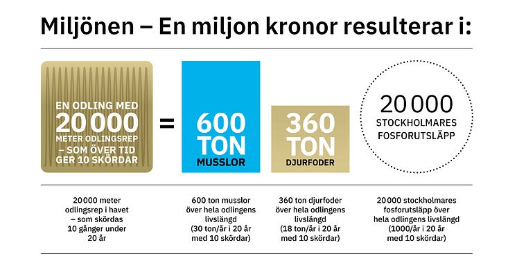 Ny miljon till Miljönen