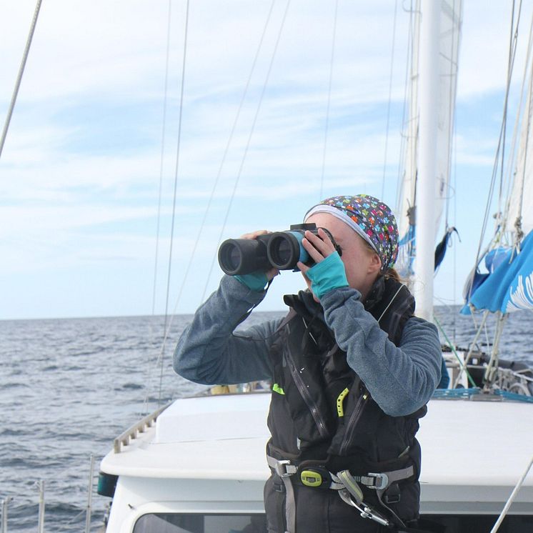 Binoculars are used to carry out visual surveys_Credit_Hebridean Whale and Dolphin Trust