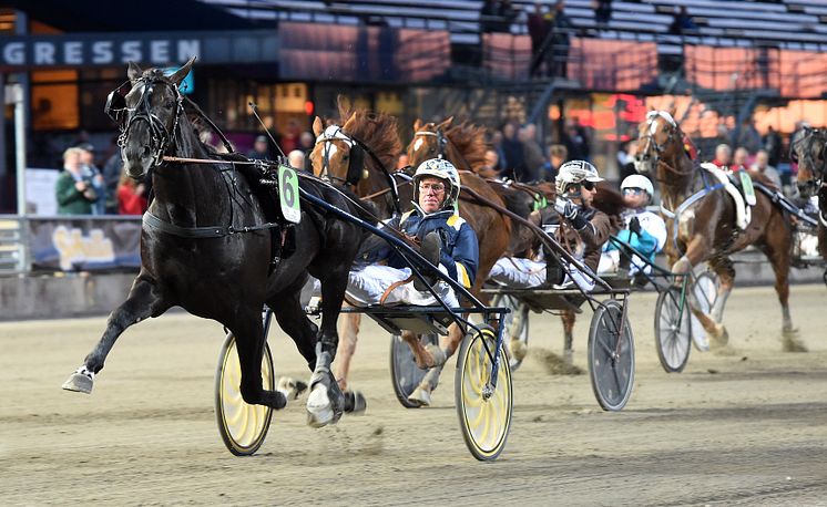 Nuncio segrade i Meadow Roads lopp 2016 och vann sedan Elitloppet samma år.