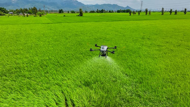 DJI T25-2.jpg