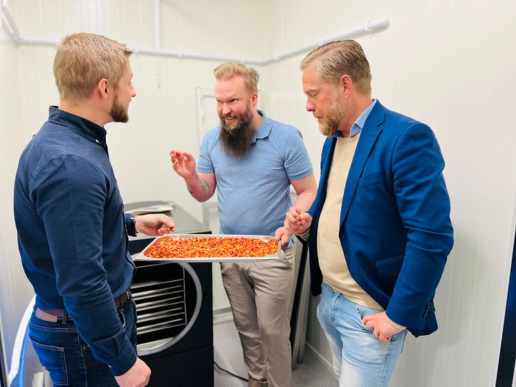 Hofmann_Stål_Brorsson.jpeg