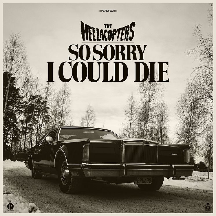 SoSorry_artwork.png