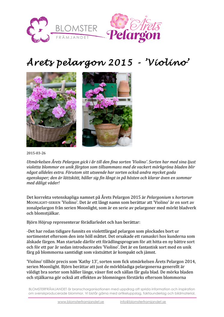 ​Årets pelargon 2015 - ’Violino’ 