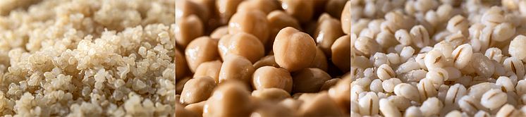 Bonduelle Food Service Minute® Quinoa Kichererbsen Gerste 