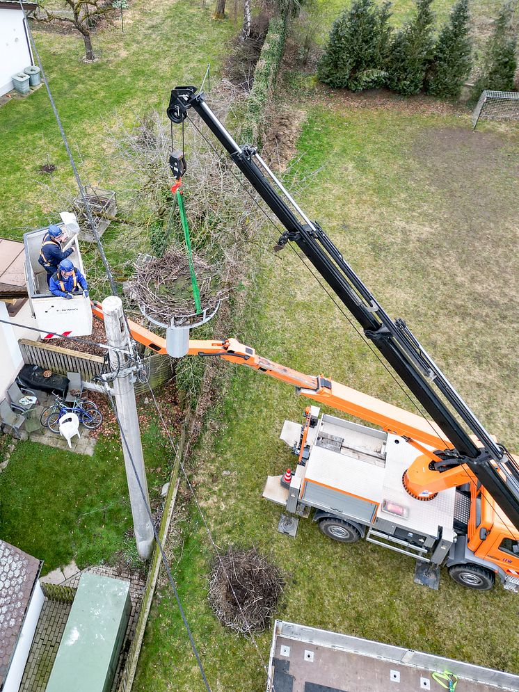 20240305_Storchennest Pfaffenhausen