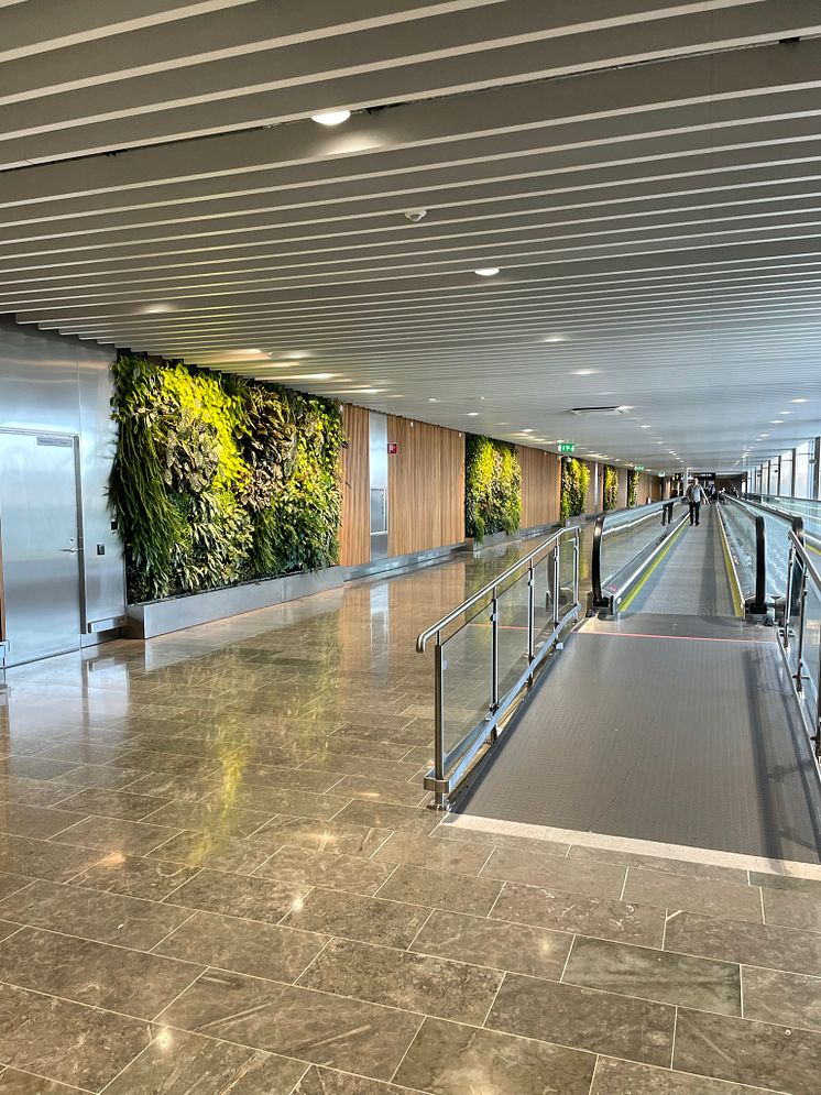 Gång med grönskande väggar mellan Terminal 4 och Terminal 5. Foto Swedavia