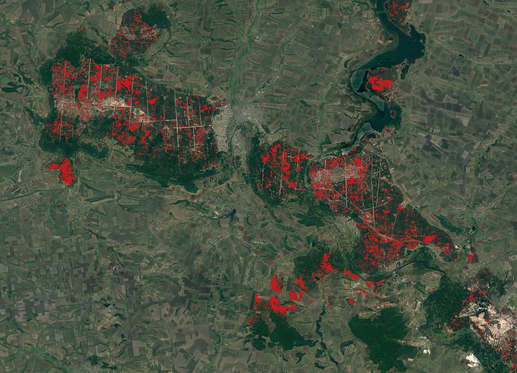 War damaged forest in Ukraine 