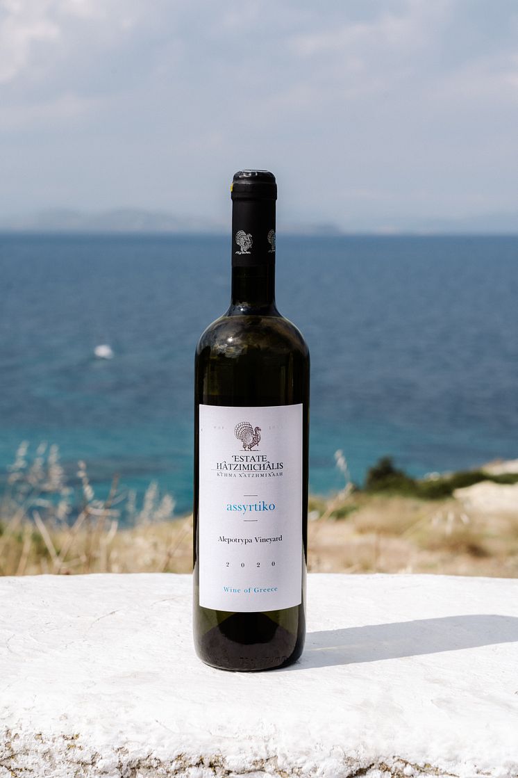 Assyrtiko Alepotrypa 2020.JPG