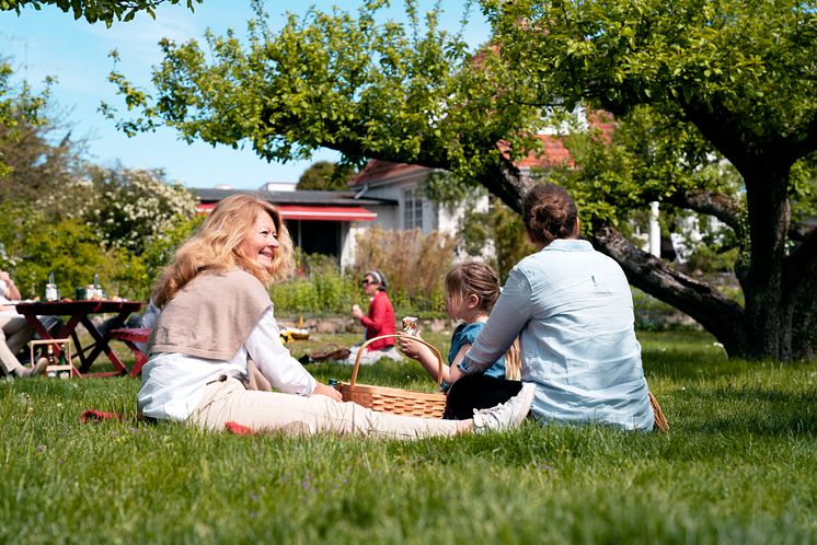 ÄPPELTRÄDGÅRD picknick