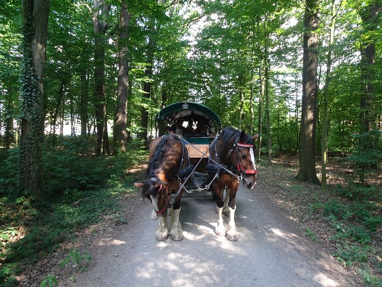 Geschwisterkinder fahren ins Sommerfreizeitcamp nach Oberau