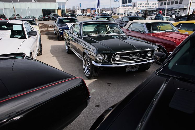 Mustang 60 år feiring Bilfabrikken 2024 (6).jpg