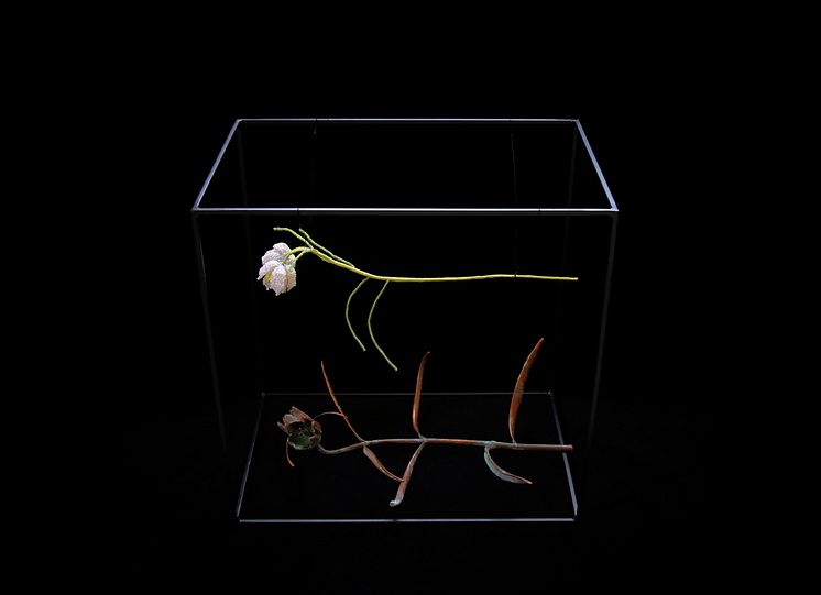 pärlblomma2.jpg
