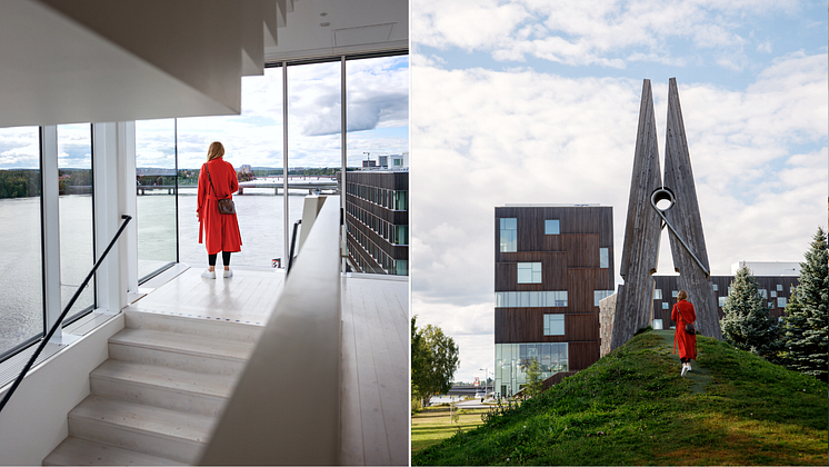 Bildmuseet och konstnärligt campus