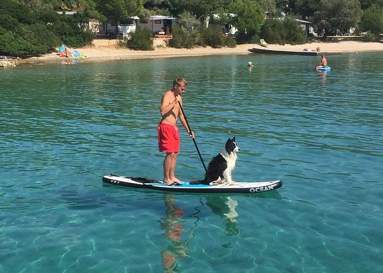 Fressnapf Sommer Hund 2 .JPG