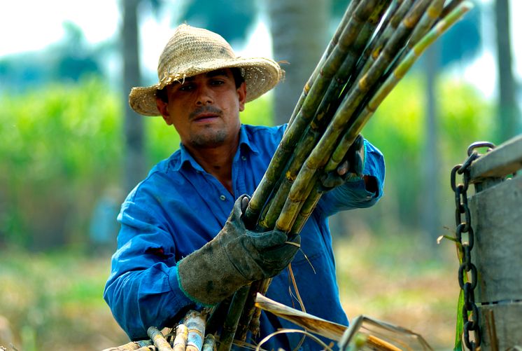 Fairtrade-certifierade producenter & produkter 