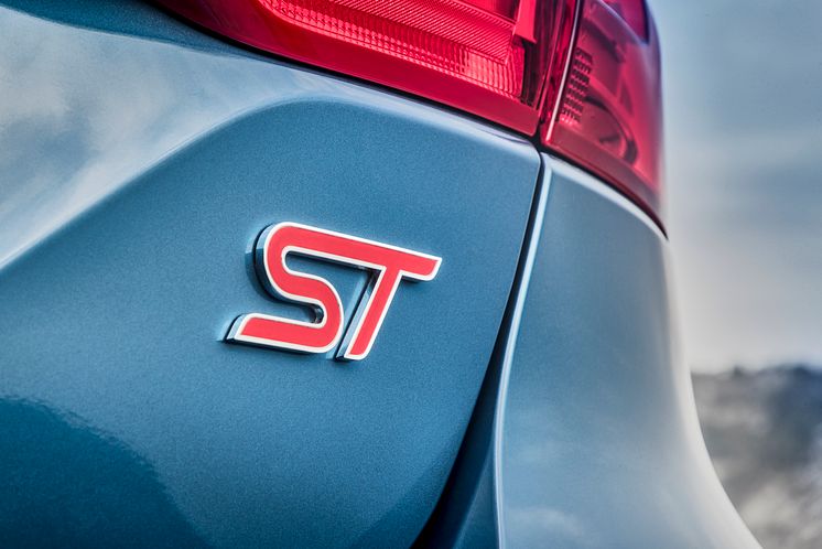 Fiesta St
