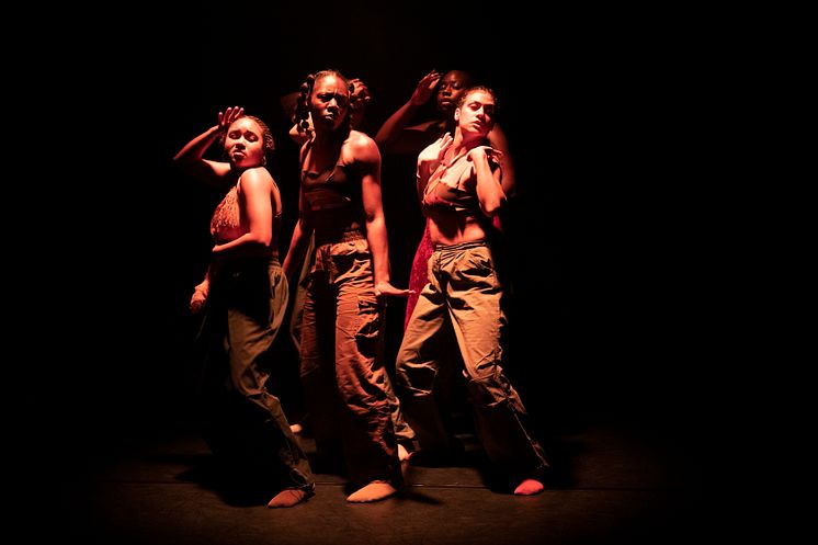 Company Nicolas Huchard - The barefoot diva