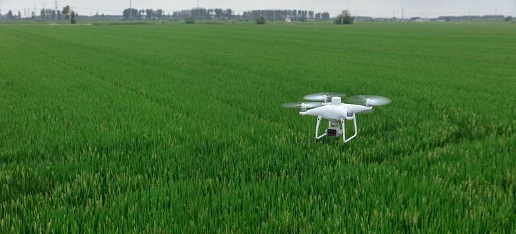 P4 Multispectral Precision Ag 2