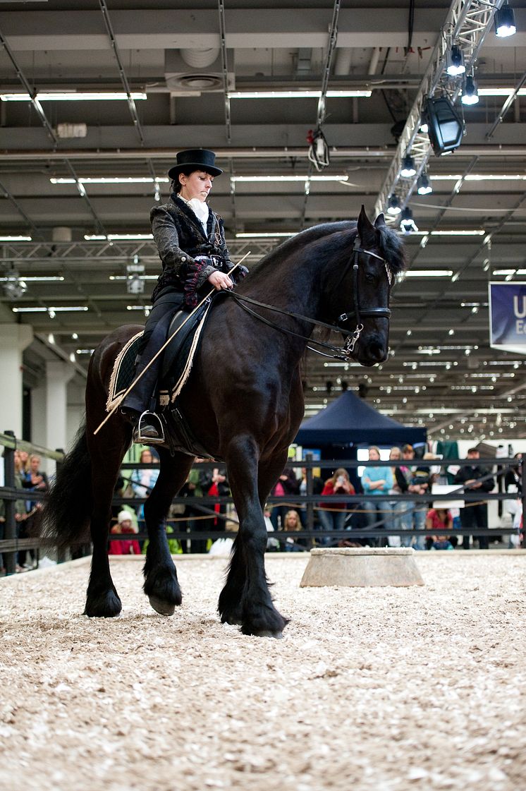 EuroHorse 2013