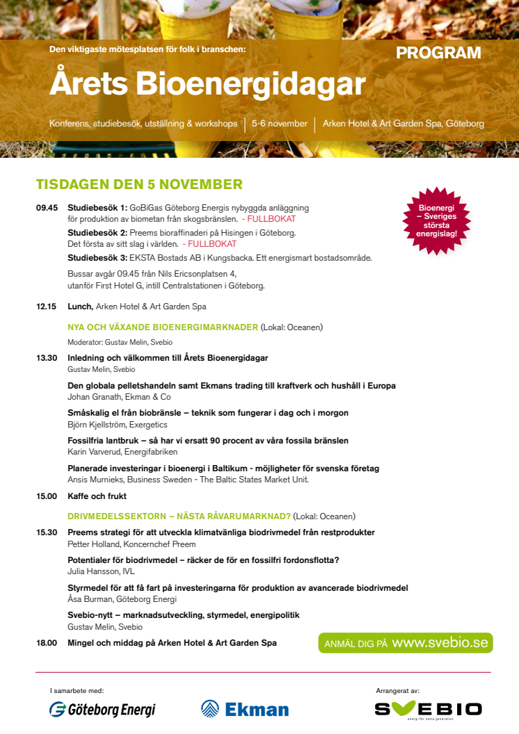 Program för Årets Bioenergidagar 2013