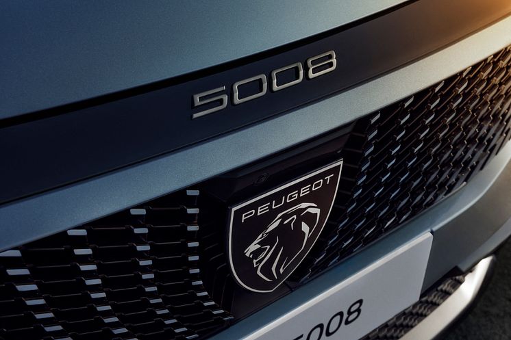 PEUGEOT_E5008_2403GJ_522.jpg