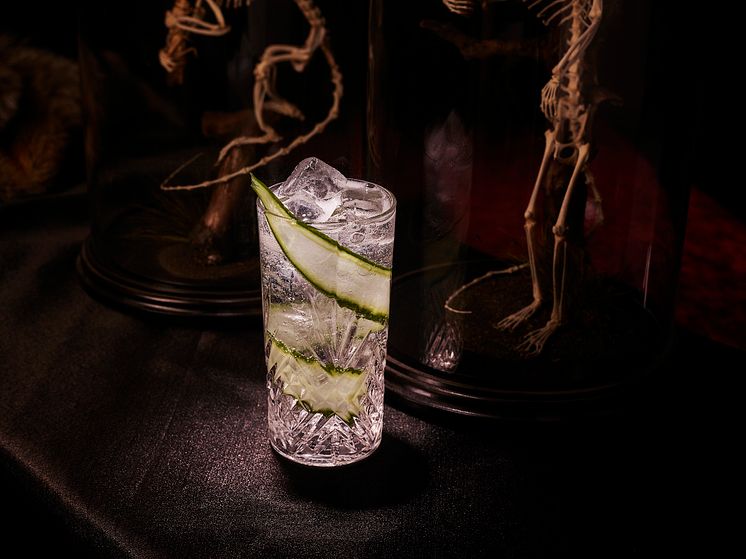 Hendrick's Tonic 