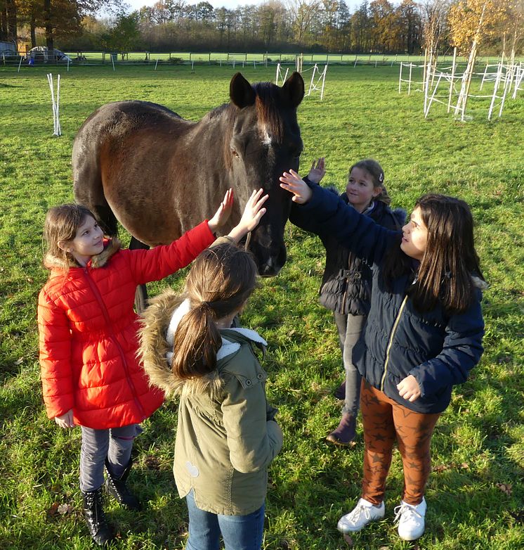 Newcomer des Jahres:  Timmy Tierschutz GmbH (Aktionsfoto aus dem Unterricht)