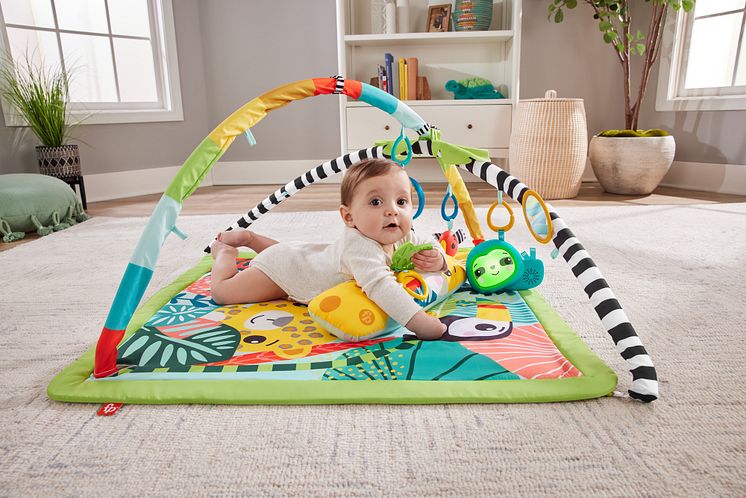 HJW08_Fisher-Price_Rainforest_1