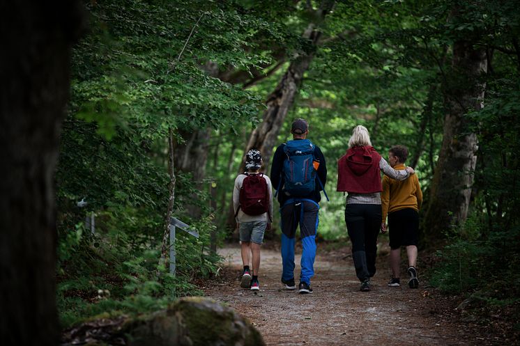 Nationalparksbesök i Åsnen