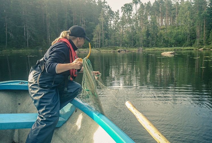 2016 års havs- och vattenmiljöanslag: Satsningar på miljöåtgärder gav jobb och ökad tillväxt 