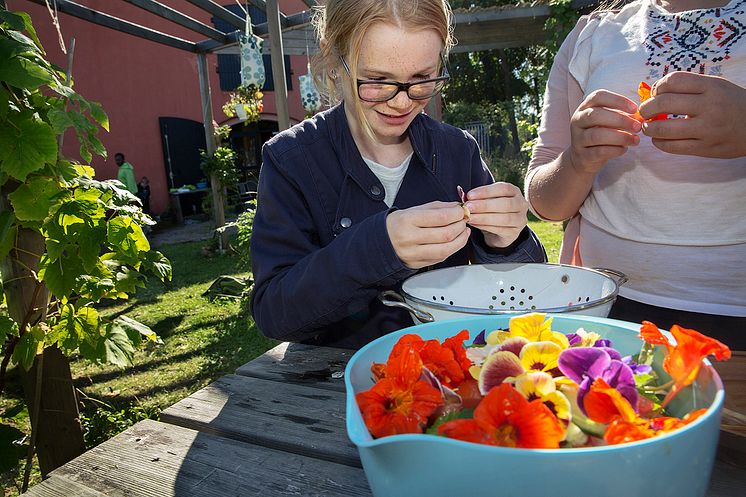 Kunskapskalaset. Pressbild 1.