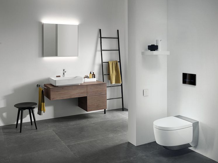 Geberit AquaClean